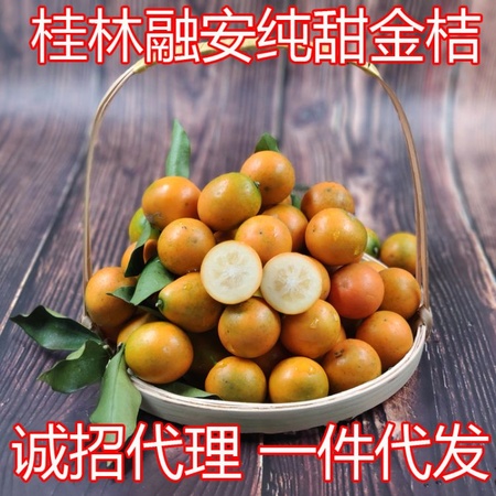 金桔純甜廣西桂林融安特產新鮮水果橘子脆皮滑皮桔子清甜多汁包郵