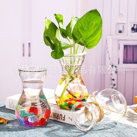 风信子小清新绿萝水养植物花瓶透明迷你小花瓶加厚玻璃瓶水培套装