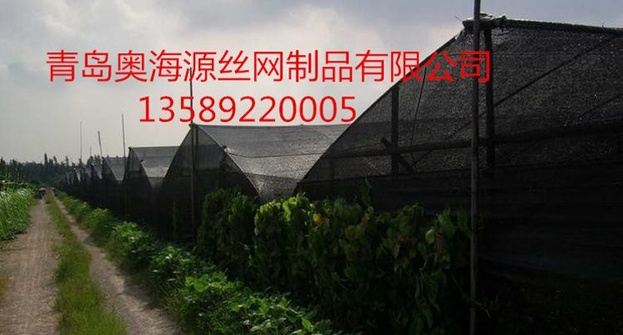 青岛黑色2针盖土网，绿色3针盖土网，2米，4米，6米，8米遮阳网