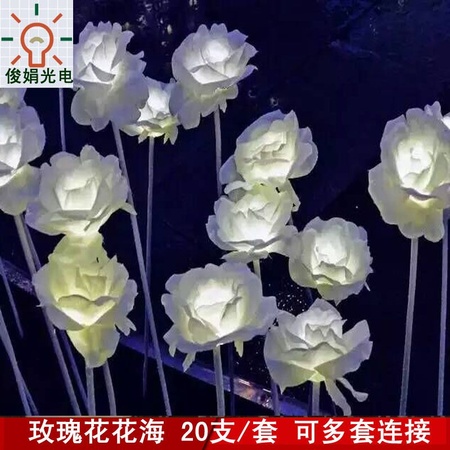 玫瑰花2