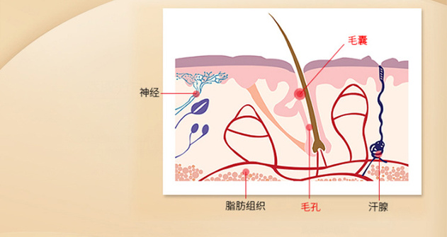 萃植精-生姜-详情页-修改_04