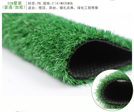 厂家批发 塑胶跑道人造草坪 室内人造草坪 人造草坪地毯 人工假草皮示例图17