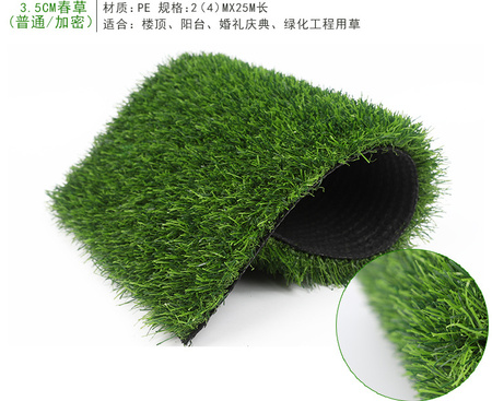 厂家批发 塑胶跑道人造草坪 室内人造草坪 人造草坪地毯 人工假草皮示例图16
