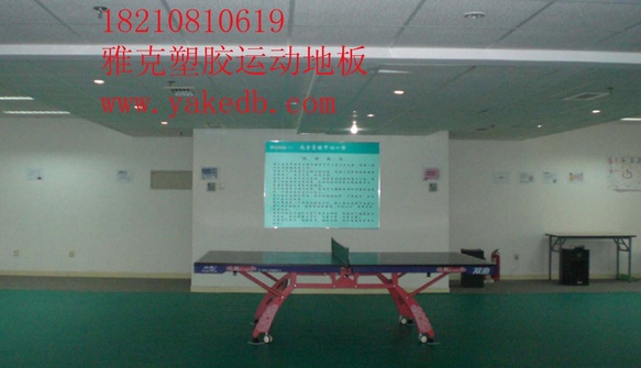 供應廠家直銷乒乓球活活動式地板膠 活動室地面鋪裝防滑地板膠墊