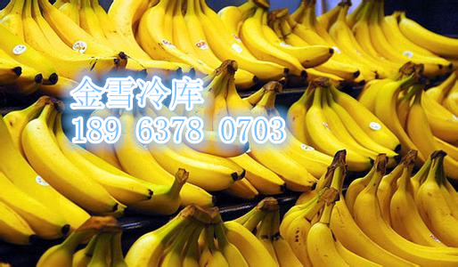 供应阜阳香蕉冷库及制冷设备零售