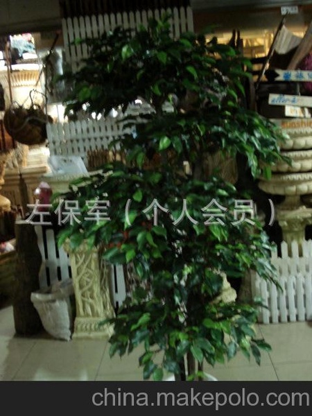 仿真植物，仿真树、仿真藤条、仿真草皮，仿真水果，仿真树叶桃树