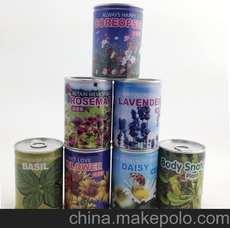 易拉罐花卉-波斯菊 桌面办公室种植迷你微型 厂家直销