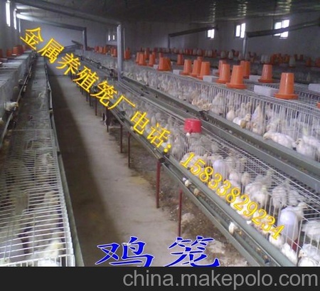 供应优质镀锌养鸡笼 蛋鸡笼 育雏笼 肉鸡笼 鸡笼厂家 品质保证