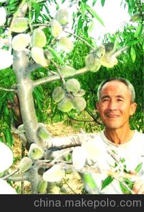 旱作农业好项目，农民致富新门路