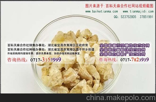 乌天麻种植技术，中药材天麻价格，贵州天麻价格