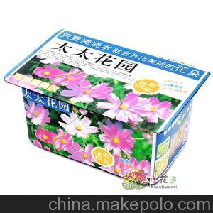 太太花园 波斯菊 DIY种植迷你精装植物 家庭小园艺 礼品工艺