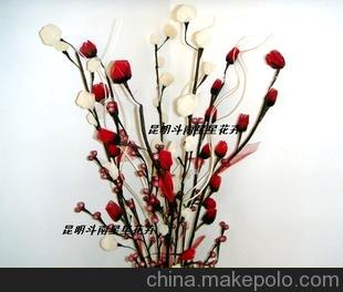 云南干花 叶脉干花 报春花 春天随风潜入夜