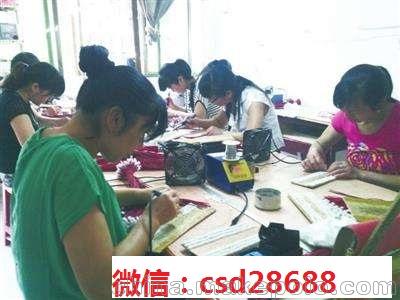 供应湖南娄底地区农村赚钱小项目 在家上网找手工活做