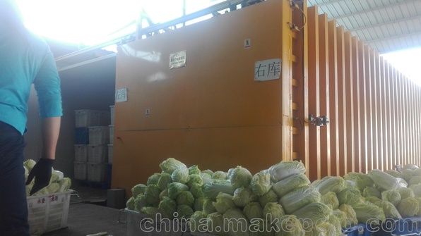 智能2500公斤型蔬菜真空预冷设备