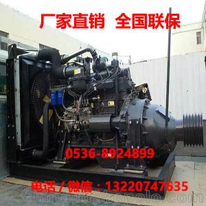 潍坊华驰HDWG-47铲车用发动机厂商