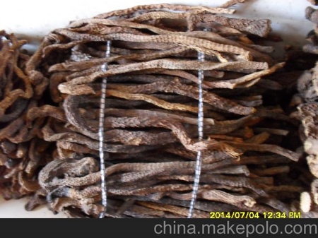 内蒙古苁蓉阿拉善肉苁蓉内蒙古特产