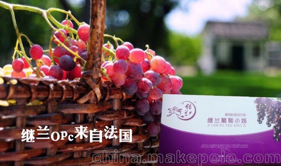 继兰葡萄小姊