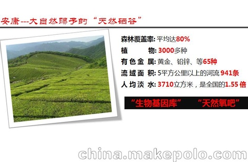 富硒翠峰 雅轩 紫阳茶