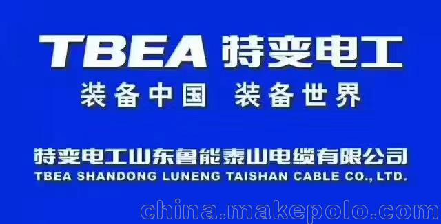 厂家直销特变电工鲁能泰山超高压电缆YJLW03