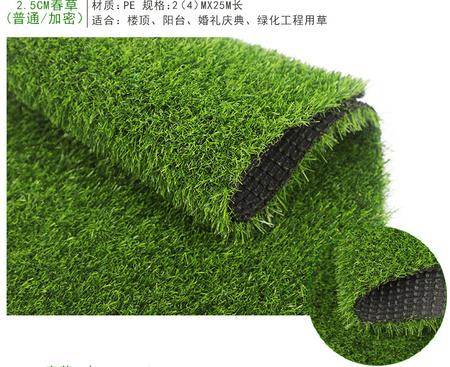 厂家批发 塑胶跑道人造草坪 室内人造草坪 人造草坪地毯 人工假草皮示例图14