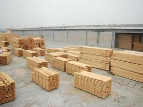 珠海建筑木材 实木板材 厂家生产 