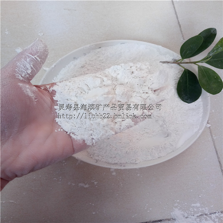 重钙粉 重质碳酸钙 涂料腻子粉专用重钙粉 塑料油漆重钙粉