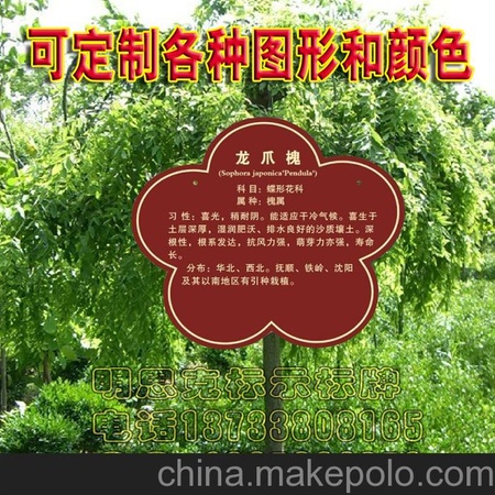 郑州优质的树牌供销，树名牌厂家