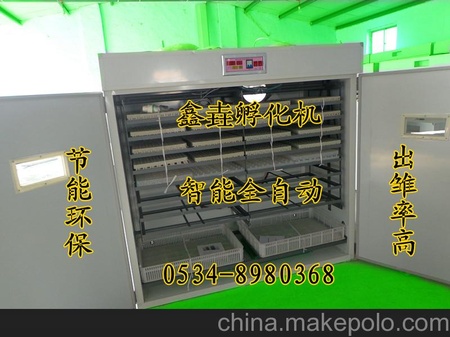 供应鑫垚XY-L鹌鹑孵化机   小型 孵化箱