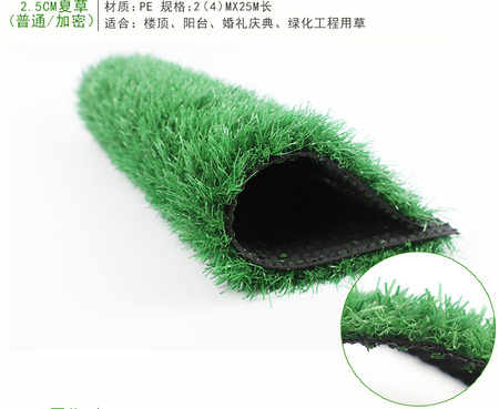厂家批发 塑胶跑道人造草坪 室内人造草坪 人造草坪地毯 人工假草皮示例图18