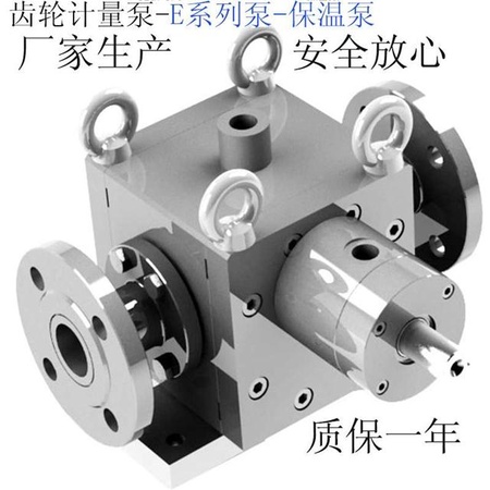 保温泵 高粘度保温计量泵 不锈钢齿轮泵 精密计量泵