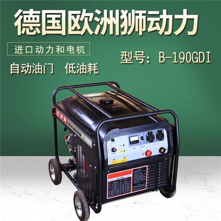 小型190A汽油发电电焊机报价
