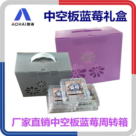 潍坊中空板厂家直销 PP塑料水果包装箱 可折叠防水包装箱
