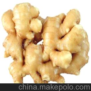 <h1>姜种,新鲜生姜,菜姜,调料姜,不公害姜,黄姜</h1>