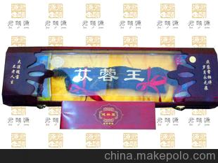 内蒙阿拉善肉苁蓉 健林堂 内在赠袋装苁蓉锁阳