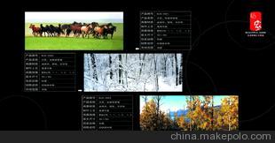 怡家精品居家用品——美观大方壁画壁纸