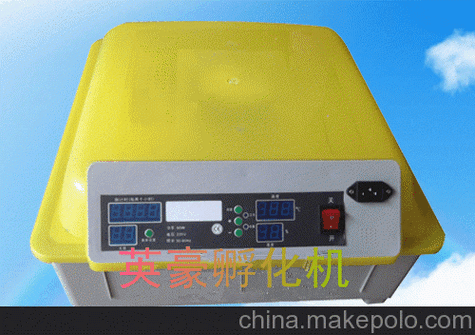 供应英豪ＹＨ－１英豪家用小型龟蛋孵化机孵化器
