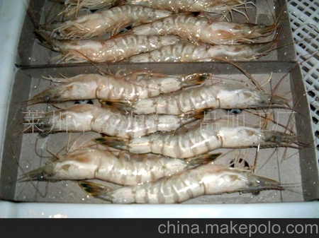 厂家低价直销速冻海虾 冷冻海产品 礼品虾