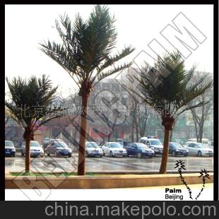 供应：室外仿真树、椰子树、fae假树-防晒抗风抗旱抗雨雪防紫外线