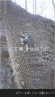 厂家直销 大量供应 爬网 欢迎选购