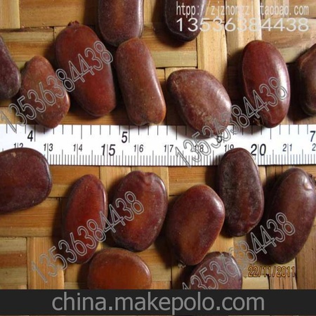 仪花 种子 Lysidice rhodostegia Hance 开花苗木 批发林木