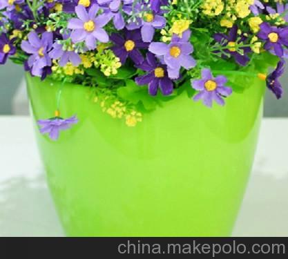广州 仿真非洲菊 富贵菊 扶郎花 假花干花客厅装饰 仿真植物