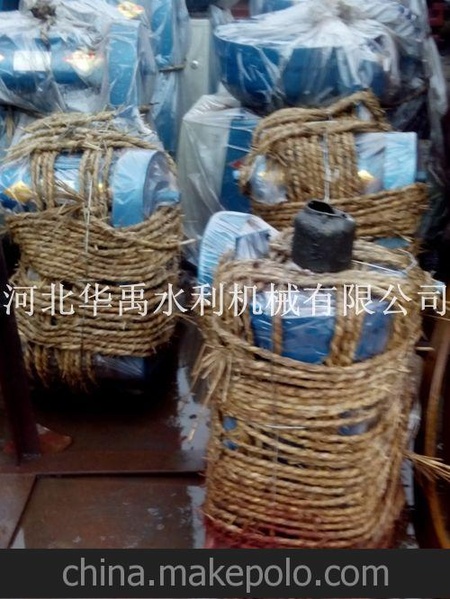 手摇螺杆启闭机QL~20T