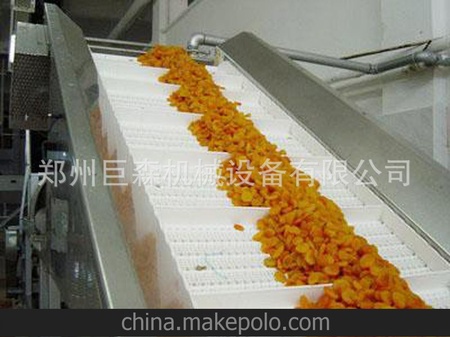 食品输送机 食品输送带 不锈钢食品输送机 厂家 可定制