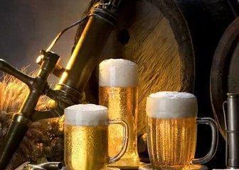 1664啤酒度数 1664啤酒