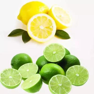 青柠檬的危害  柠檬水的功效与禁忌 青柠檬好还是黄柠檬好 