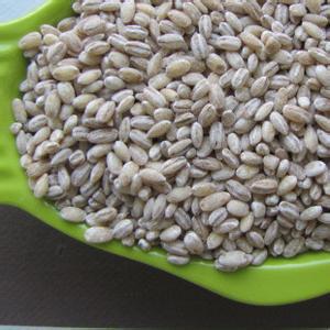 大麦和小麦的区别图片 大麦与小麦的区别是什么？