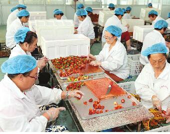 中国食品加工技术网  食品加工技术专业介绍 