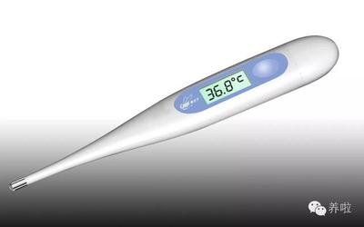 海尔电子体温计怎么用 电子体温计使用方法