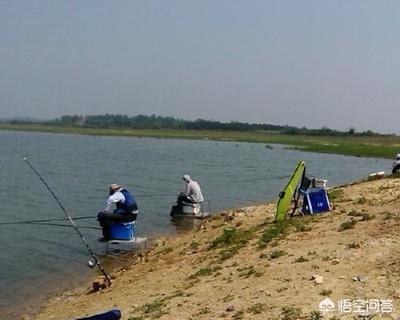 杭州钓鱼网网站  杭州钓鱼地点地址 