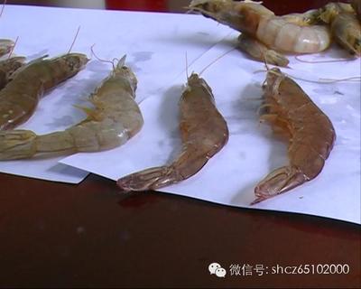 鲜虾怎么保存为最新鲜 如何保持虾的新鲜